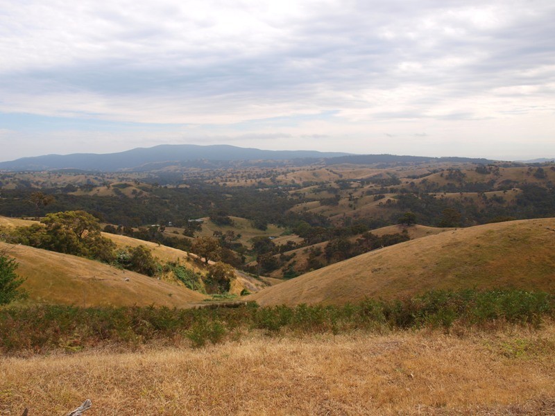 Lot 1 LP112177 Doctors  Creek Road, Clonbinane VIC 3658