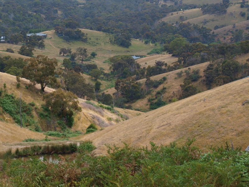 Lot 1 LP112177 Doctors  Creek Road, Clonbinane VIC 3658