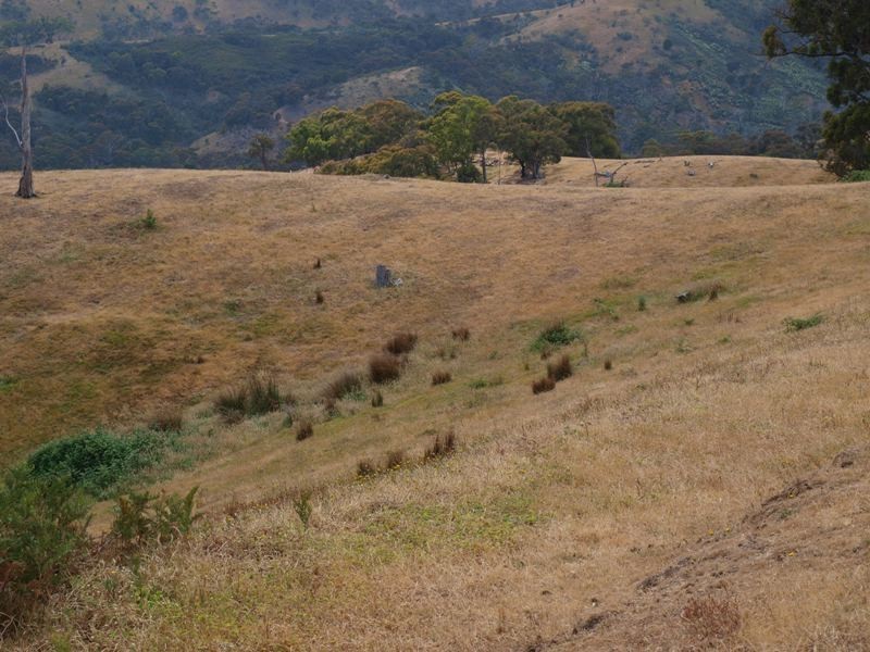 Lot 1 LP112177 Doctors  Creek Road, Clonbinane VIC 3658