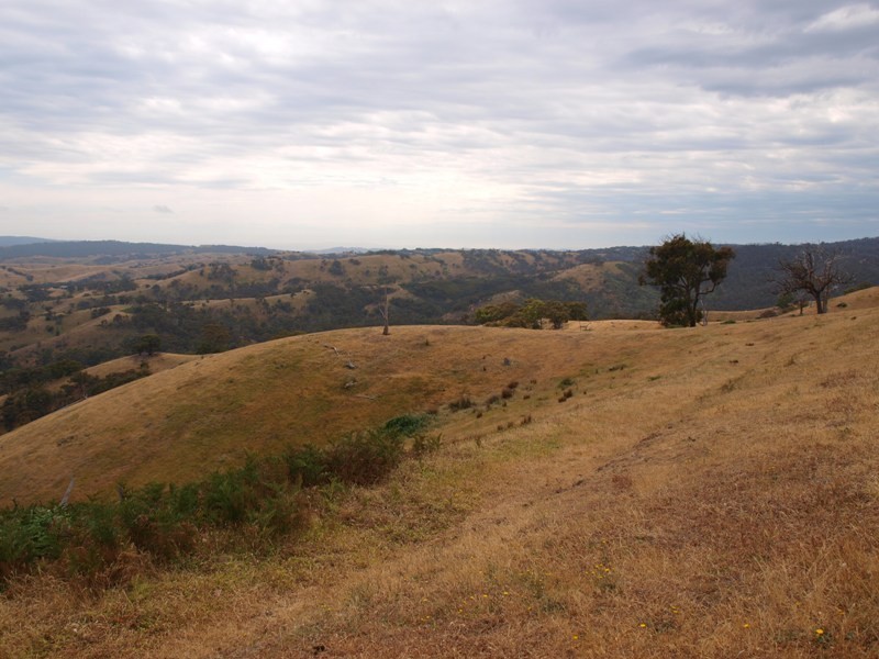 Lot 1 LP112177 Doctors  Creek Road, Clonbinane VIC 3658