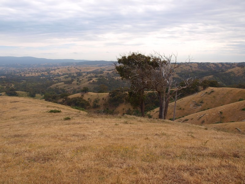 Lot 1 LP112177 Doctors  Creek Road, Clonbinane VIC 3658