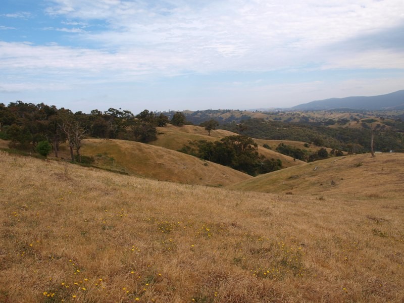 Lot 1 LP112177 Doctors  Creek Road, Clonbinane VIC 3658