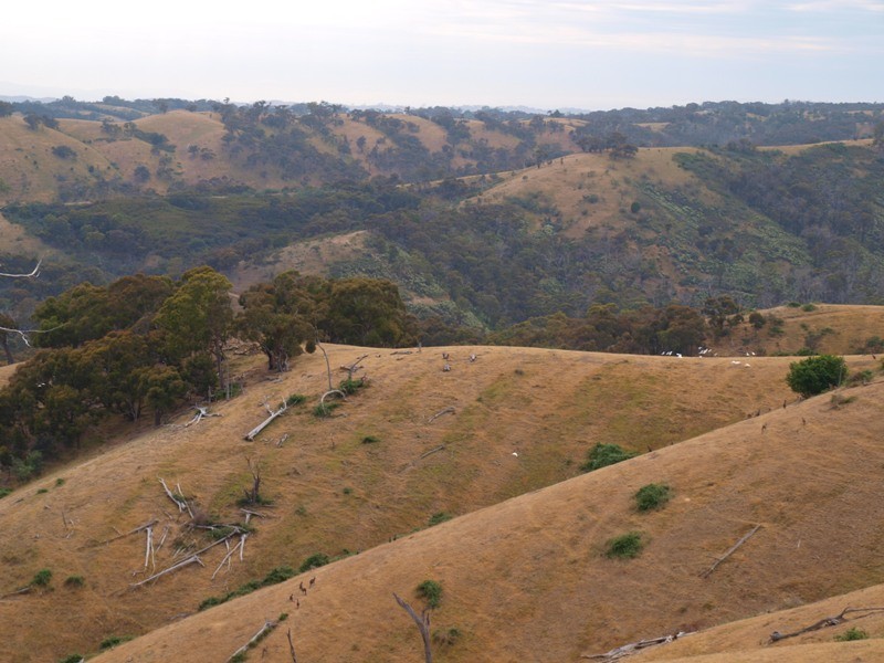 Lot 1 LP112177 Doctors  Creek Road, Clonbinane VIC 3658