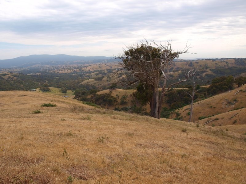 Lot 1 LP112177 Doctors  Creek Road, Clonbinane VIC 3658