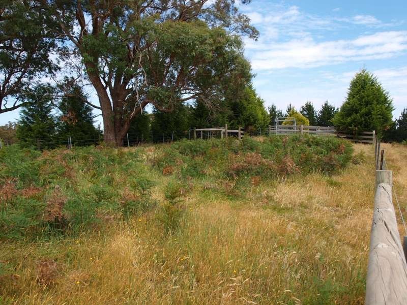 Lot 1 LP112177 Doctors  Creek Road, Clonbinane VIC 3658