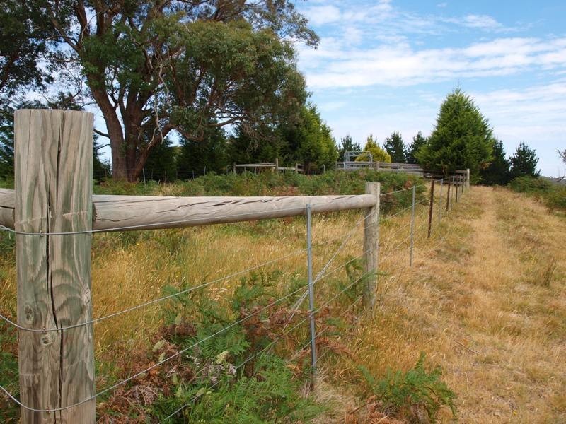 Lot 1 LP112177 Doctors  Creek Road, Clonbinane VIC 3658