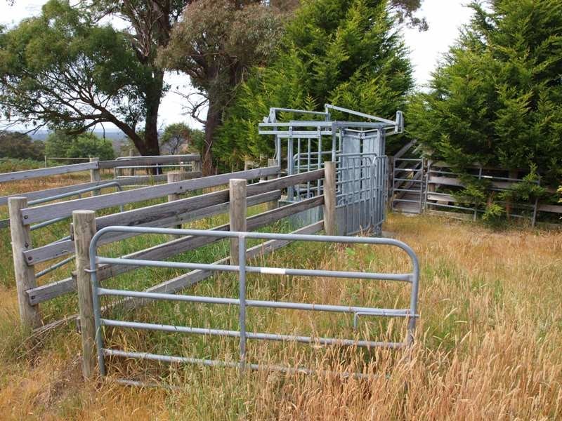 Lot 1 LP112177 Doctors  Creek Road, Clonbinane VIC 3658