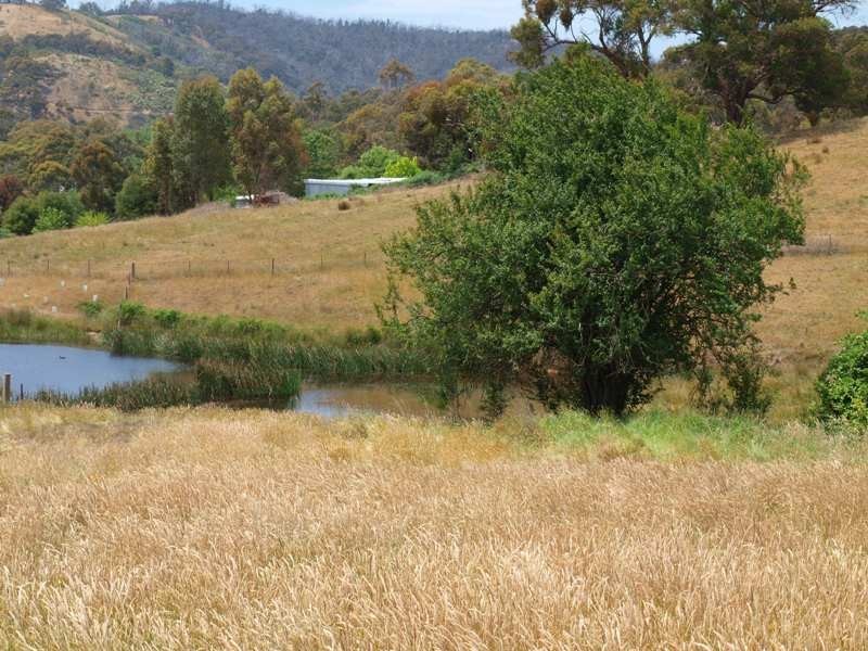 Lot 1 LP112177 Doctors  Creek Road, Clonbinane VIC 3658