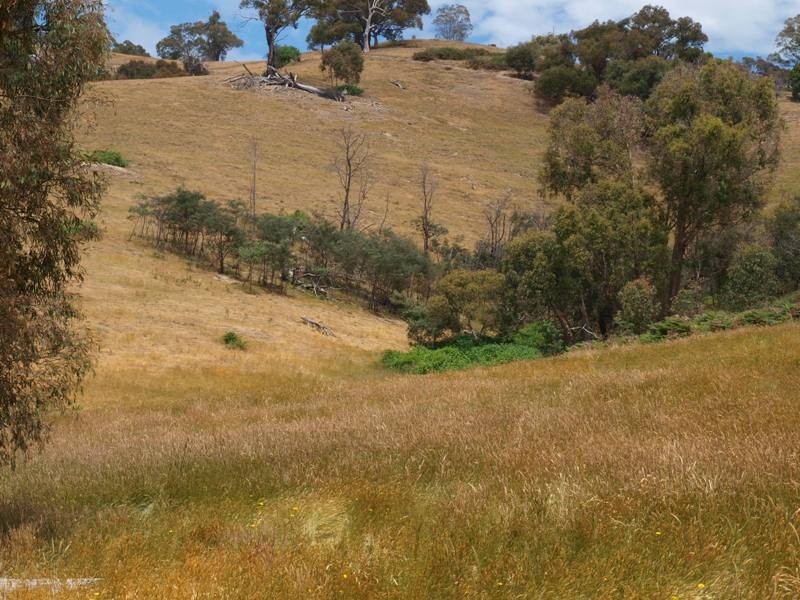 Lot 1 LP112177 Doctors  Creek Road, Clonbinane VIC 3658