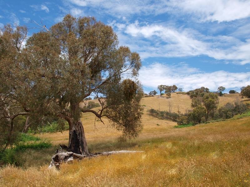 Lot 1 LP112177 Doctors  Creek Road, Clonbinane VIC 3658