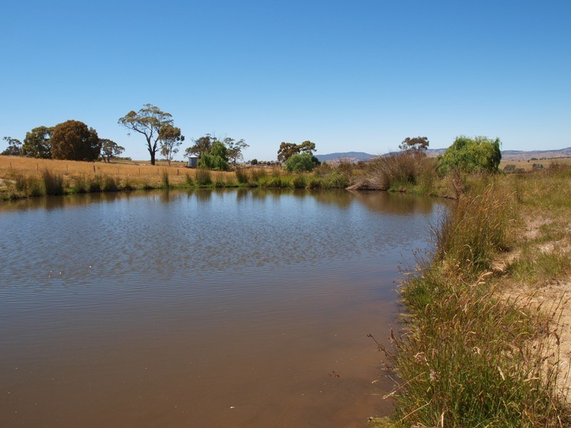 520 West Road, Pyalong VIC 3521