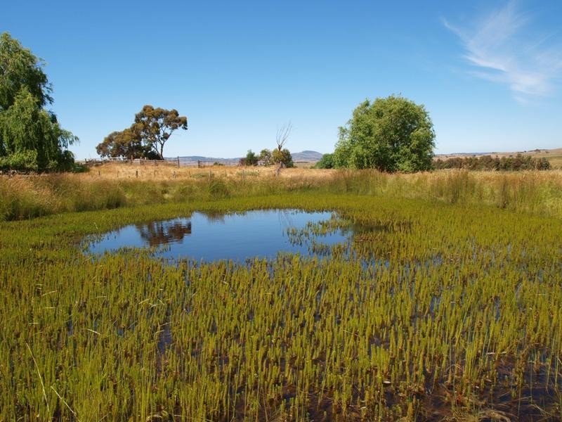 520 West Road, Pyalong VIC 3521