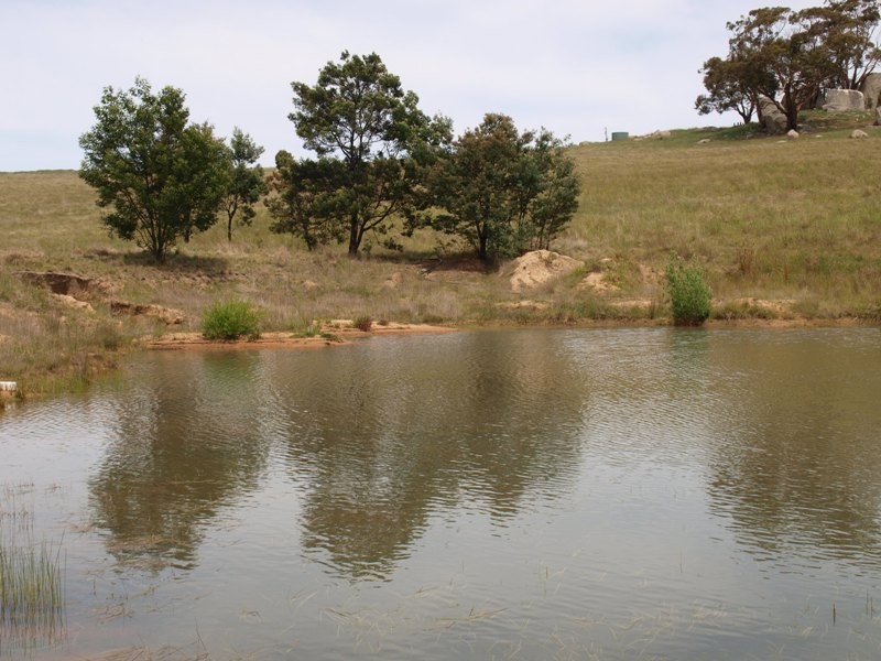 1105 West Road, Pyalong VIC 3521