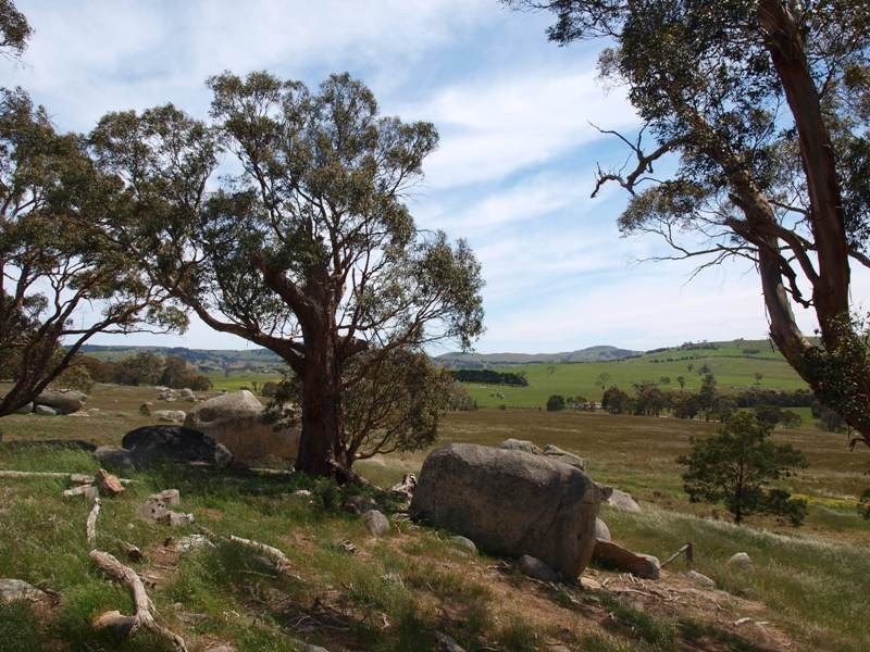 1105 West Road, Pyalong VIC 3521