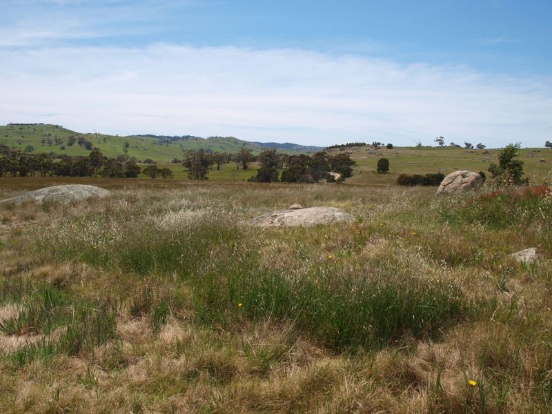 1105 West Road, Pyalong VIC 3521