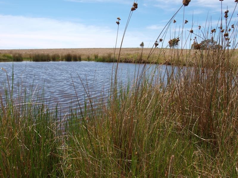 1105 West Road, Pyalong VIC 3521