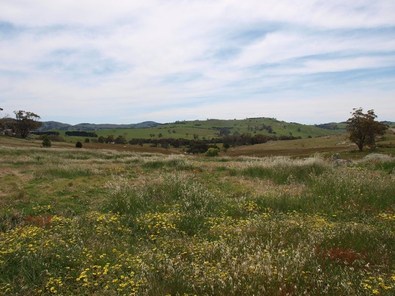 1105 West Road, Pyalong VIC 3521