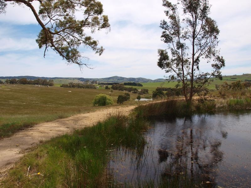 1105 West Road, Pyalong VIC 3521