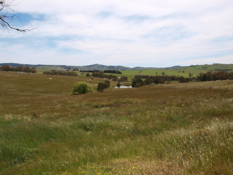 1105 West Road, Pyalong VIC 3521