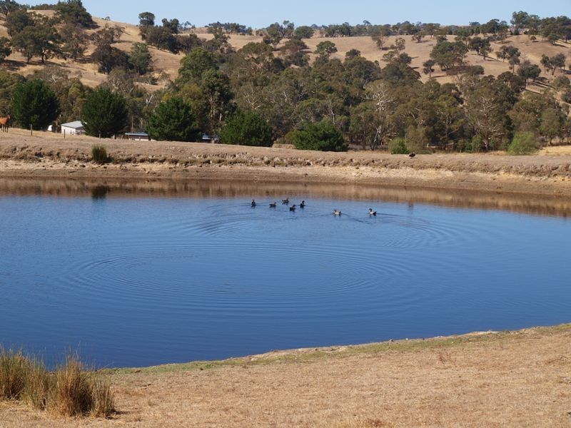 Kilmore East VIC 3764
