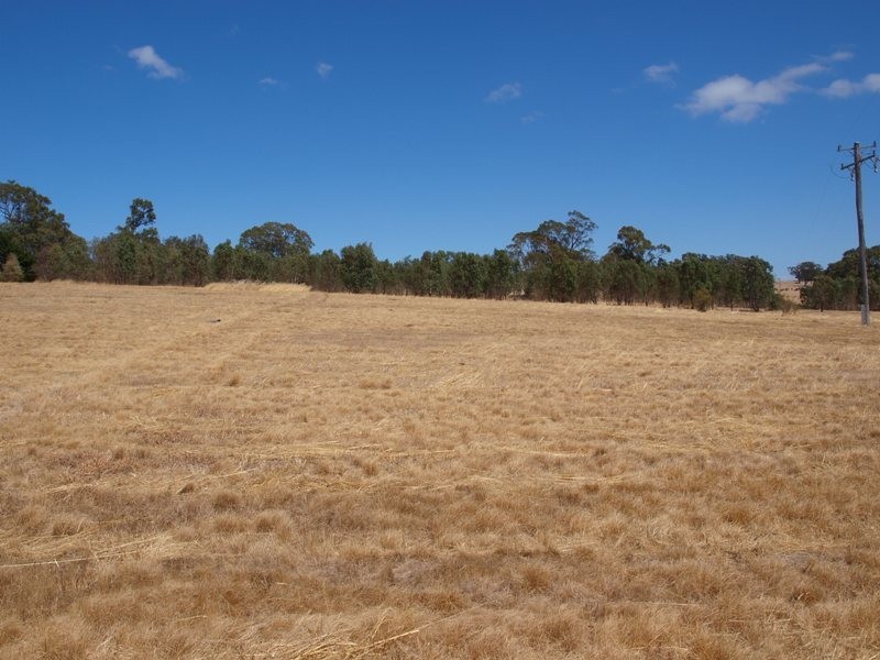 65 Racecourse Road, Pyalong VIC 3521