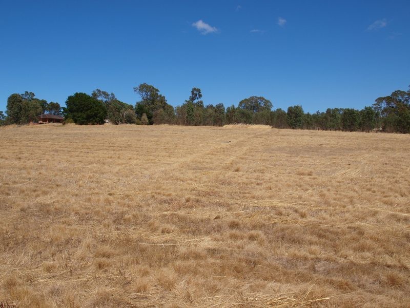 65 Racecourse Road, Pyalong VIC 3521