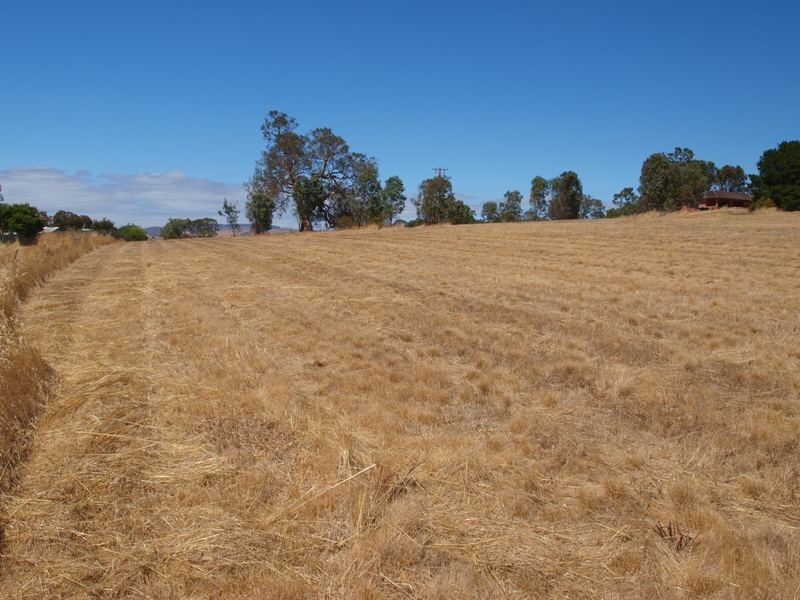 65 Racecourse Road, Pyalong VIC 3521