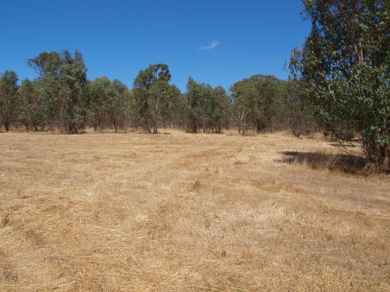 65 Racecourse Road, Pyalong VIC 3521