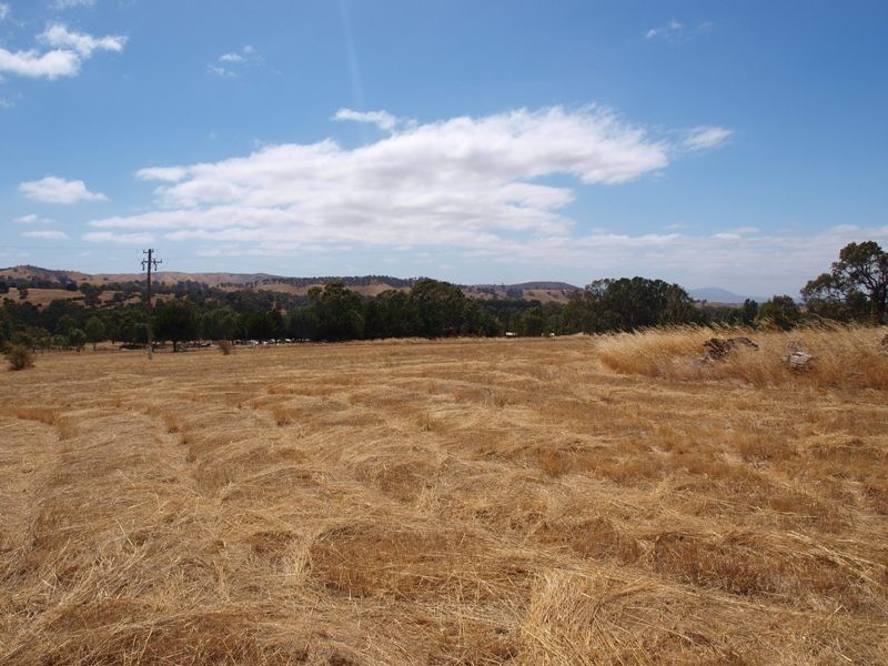 65 Racecourse Road, Pyalong VIC 3521