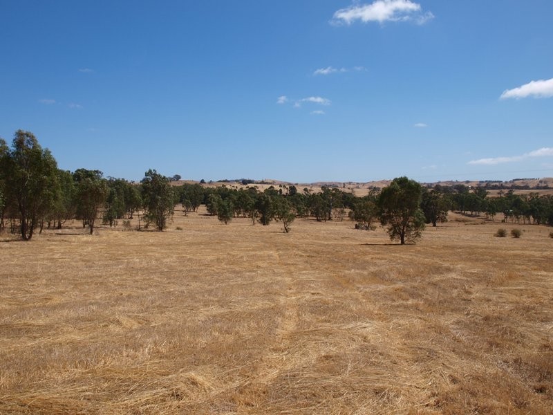 65 Racecourse Road, Pyalong VIC 3521