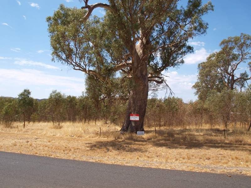 65 Racecourse Road, Pyalong VIC 3521