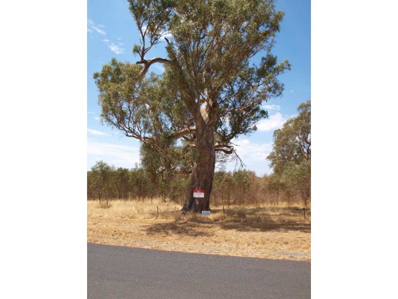 65 Racecourse Road, Pyalong VIC 3521