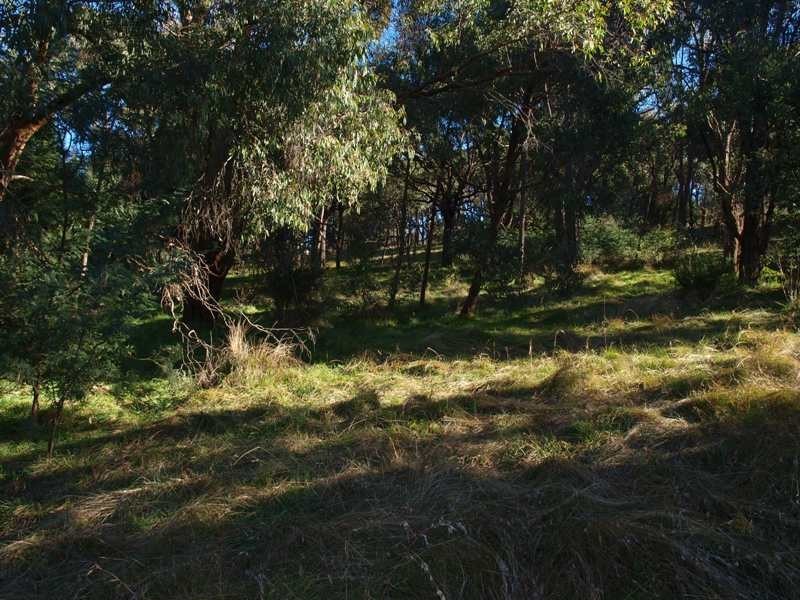 7 Sir Leo Curtis Drive, Wandong VIC 3758