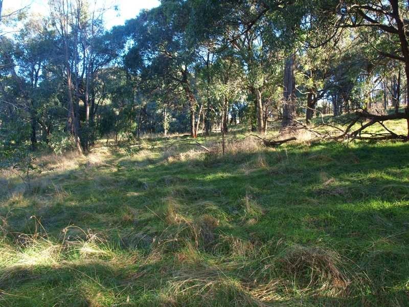 7 Sir Leo Curtis Drive, Wandong VIC 3758