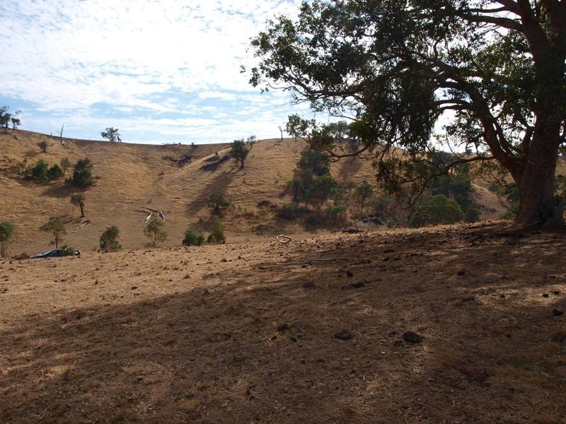 865 Strath Creek Road, Tyaak VIC 3658