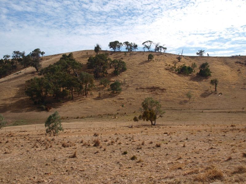 865 Strath Creek Road, Tyaak VIC 3658