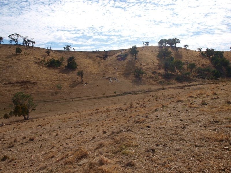 865 Strath Creek Road, Tyaak VIC 3658