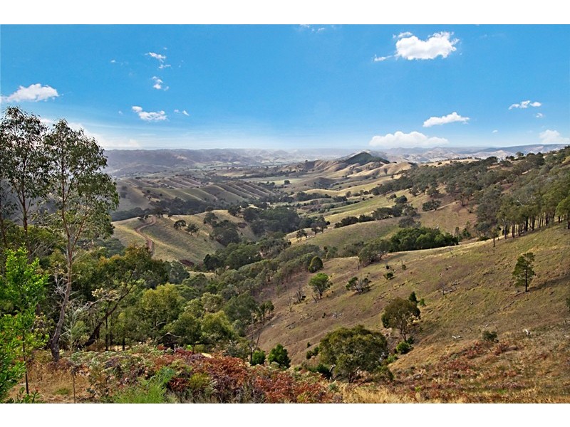 470 Horans  Road, Broadford VIC 3658