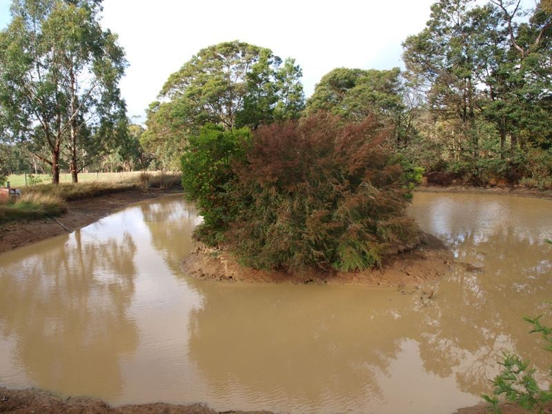 335 Union Lane, Bylands VIC 3762