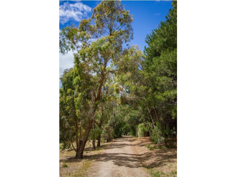 11 Whalan Court, Pyalong VIC 3521