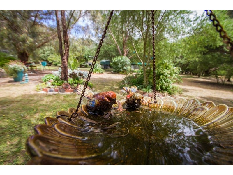 11 Whalan Court, Pyalong VIC 3521