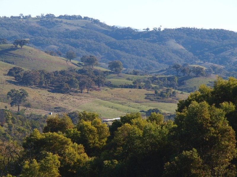 170 Reid Road, Broadford VIC 3658