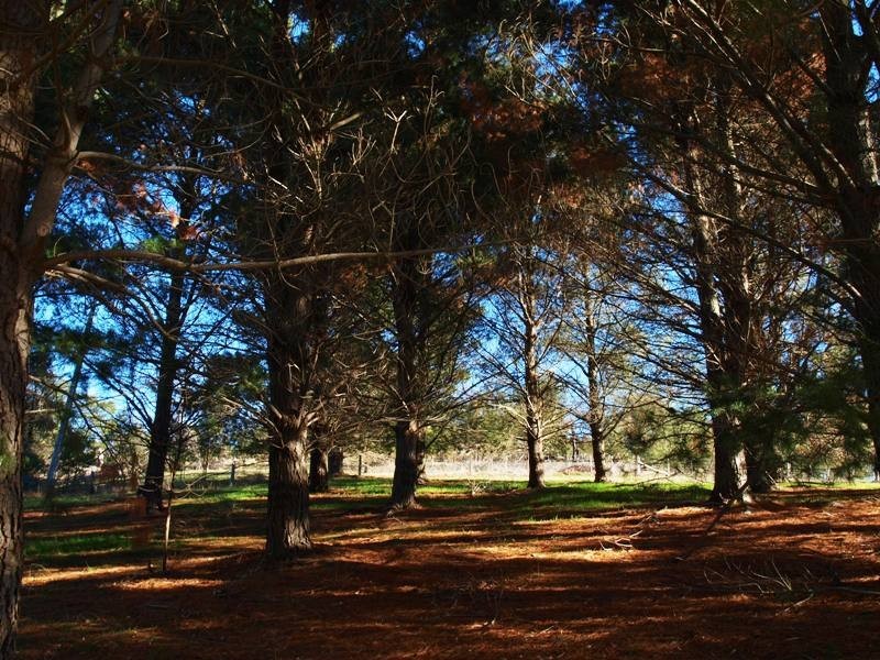 170 Reid Road, Broadford VIC 3658