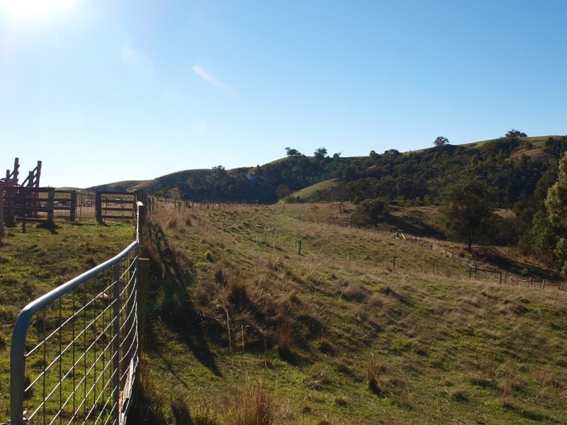 170 Reid Road, Broadford VIC 3658