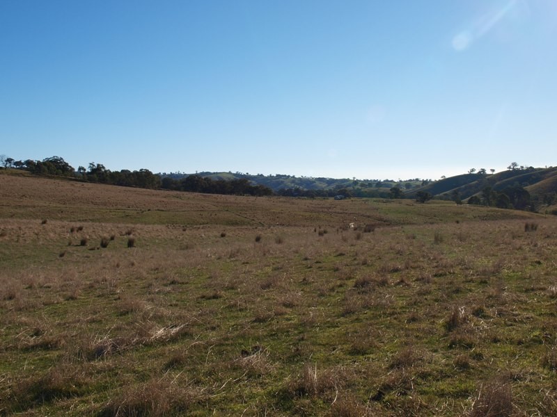 170 Reid Road, Broadford VIC 3658