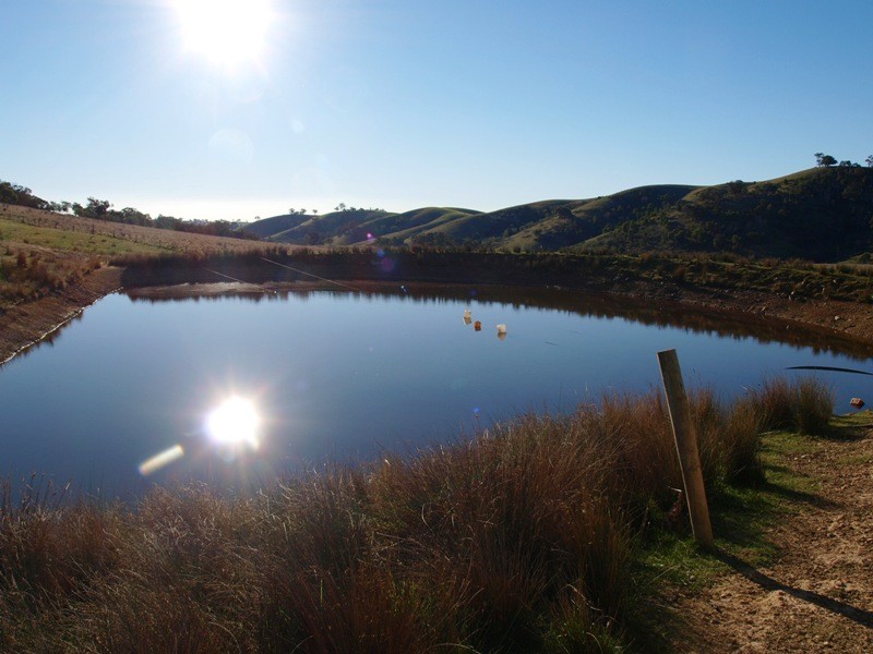 170 Reid Road, Broadford VIC 3658