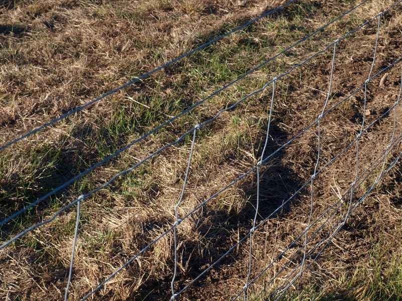 170 Reid Road, Broadford VIC 3658