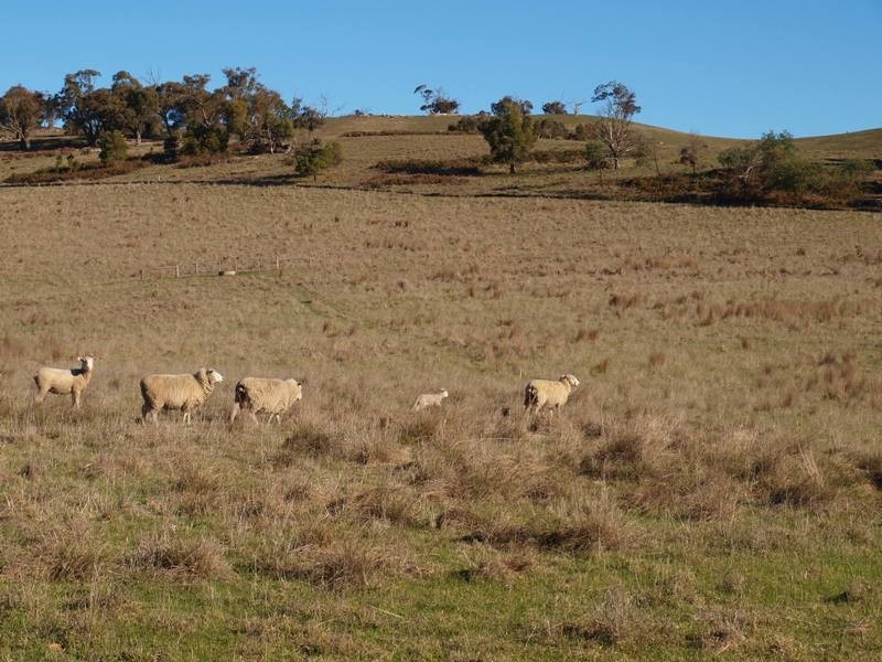 170 Reid Road, Broadford VIC 3658