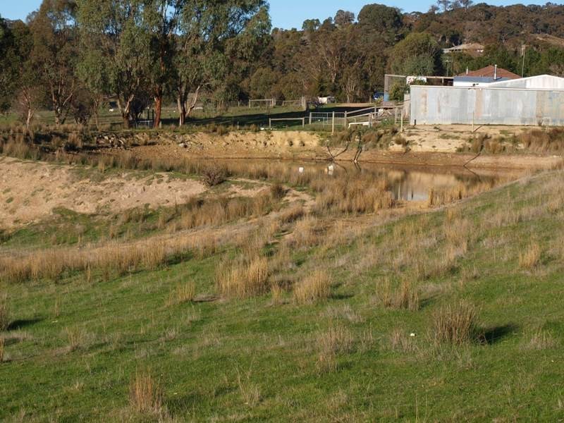 170 Reid Road, Broadford VIC 3658