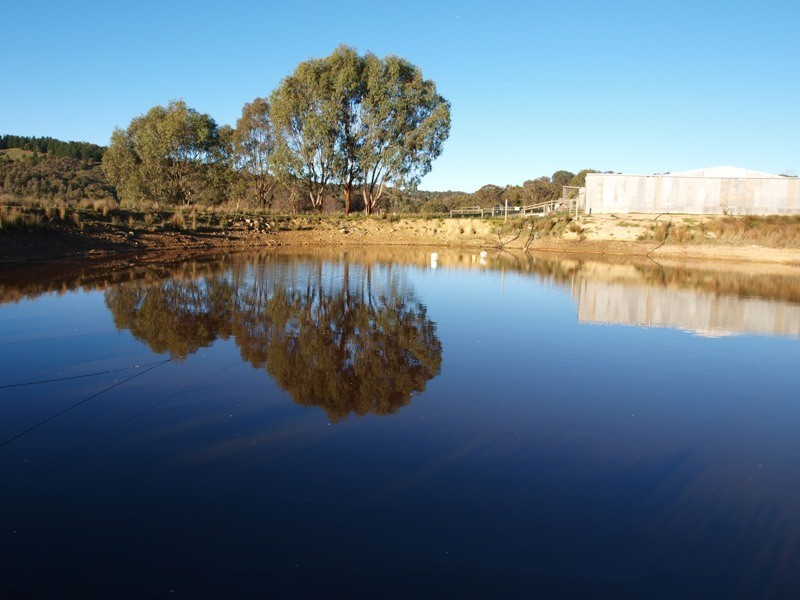 170 Reid Road, Broadford VIC 3658